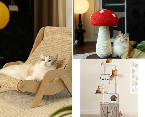 Cat Beds - From Modest to High Class cover photo collage
