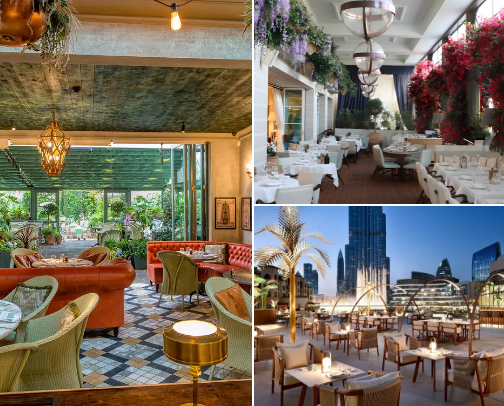 Passport on a Plate: My Favorite Dining Destinations Around the World" cover photo collage