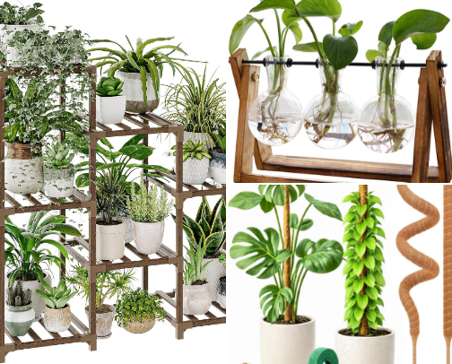 House Plant Heaven cover photo collage