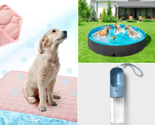 Elmo’s Summer Favorites ☀️🌴🌊🐚 cover photo collage