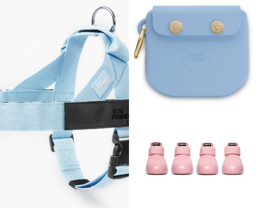 Ultimate Daily Dog Walk Gear cover photo collage