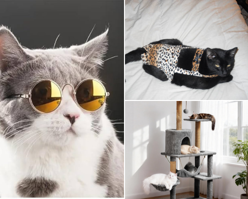 PRODUCTS FOR YOUR CATS cover photo collage