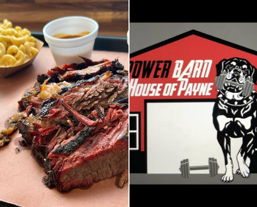 My top Elwood recs cover photo collage