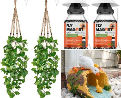Out There Must-Haves! 🐝 🐞 cover photo collage
