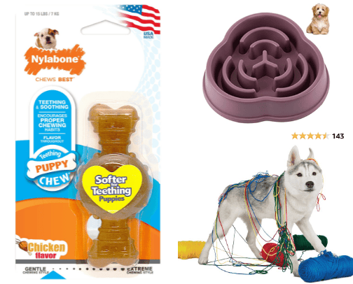 Puppy needs for a first time dog parent cover photo collage