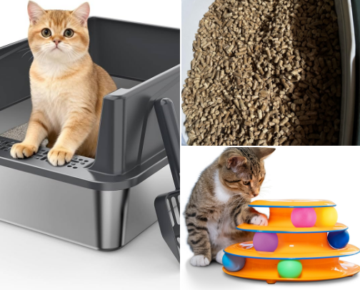 Cat needs cover photo collage