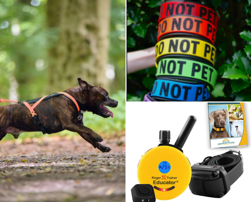 Hiking Set-Up cover photo collage