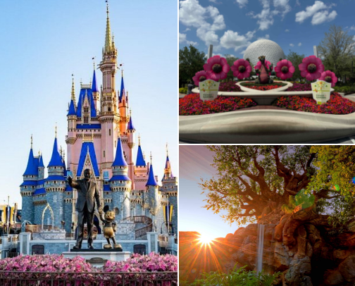 🏰 Orlando Must-Dos: Theme Parks, Beaches & Beyond cover photo collage