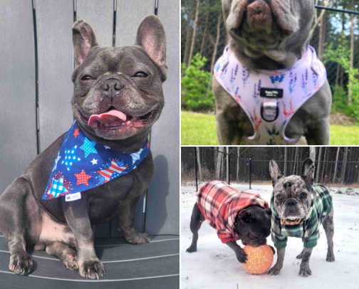 Top notch accessories cover photo collage