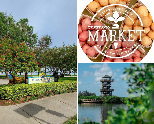 Things to do from Saint Petersburg to Sarasota, Florida cover photo collage