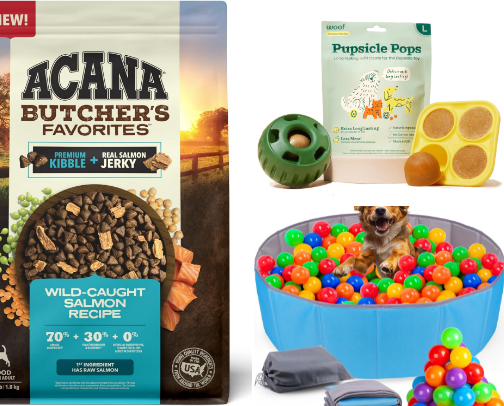 Doggy must haves! cover photo collage
