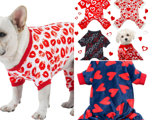 Dog Gone Cute Outfits for Every Season cover photo collage