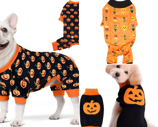 Dog Gone Cute Outfits for Every Season cover photo collage