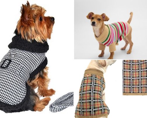 Dog Gone Cute Outfits for Every Season cover photo collage