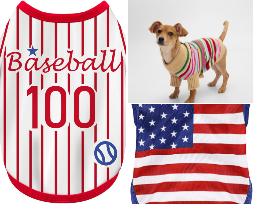 Dog Gone Cute Outfits for Every Season cover photo collage