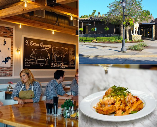 Gluten Free Resources, Restaurants, Products cover photo collage