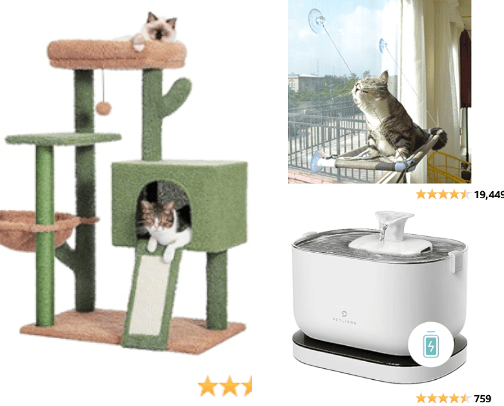 Cat Necessities! cover photo collage