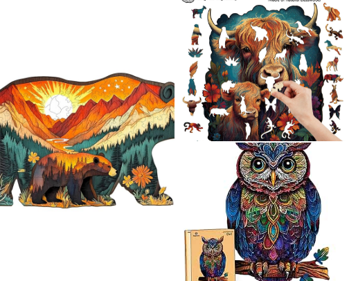 Paws, Prints and Pretty Things 🐾 cover photo collage