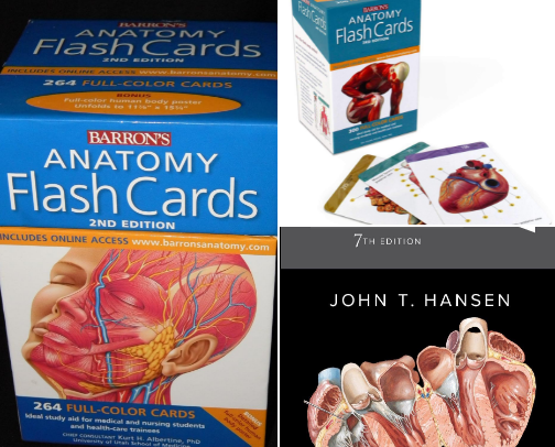 Save & Read - Study companions for Barron's Anatomy Flash Cards, 2nd Edition cover photo collage