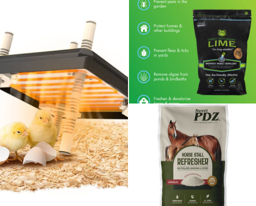 Backyard Chicken Care Essentials cover photo collage