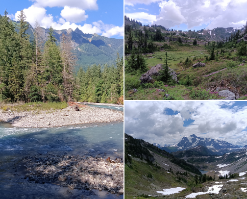 Best Hikes in Washington cover photo collage