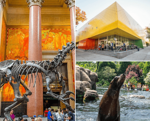Our favorite kid friendly places in NYC cover photo collage