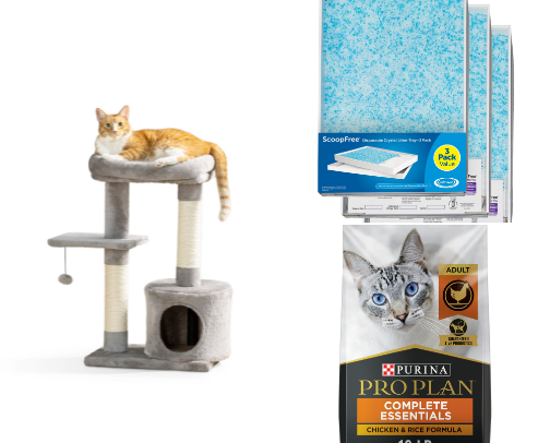 All your furry friends need (Cat Version) cover photo collage