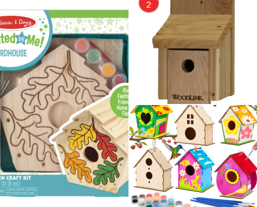 Bird House Kits My Daughter and I Built Before She Lost Interest cover photo collage