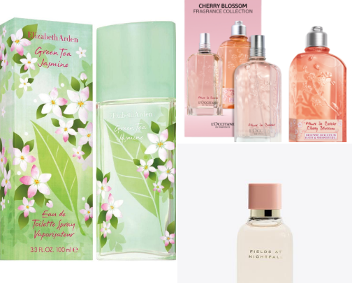 Budget-Friendly  Fragrances cover photo collage
