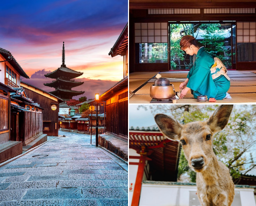 A millennial's travel guide through Kyoto, Japan. cover photo collage