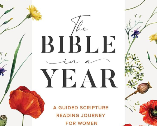 My favorite book recs cover photo collage