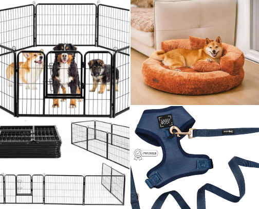 Practical Dog Essentials That Make Life Easier cover photo collage