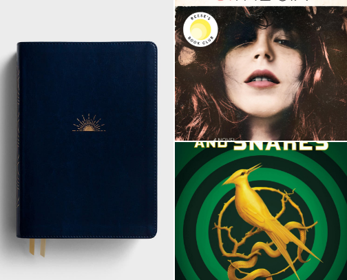 books that changed my brain chemistry. cover photo collage