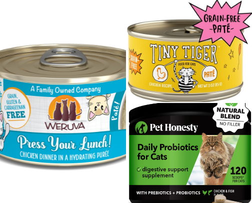 Cat Essentials cover photo collage