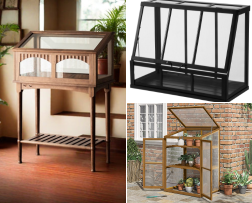Indoor Greenhouse | Bring nature inside cover photo collage