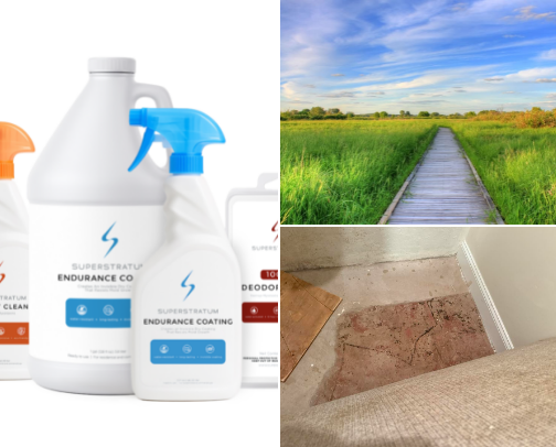 Detoxing From Toxic Mold cover photo collage