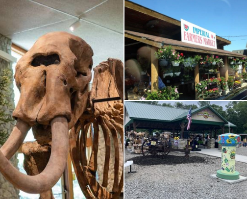 Things to do in Missouri!! Specifically Jefferson county and STL cover photo collage