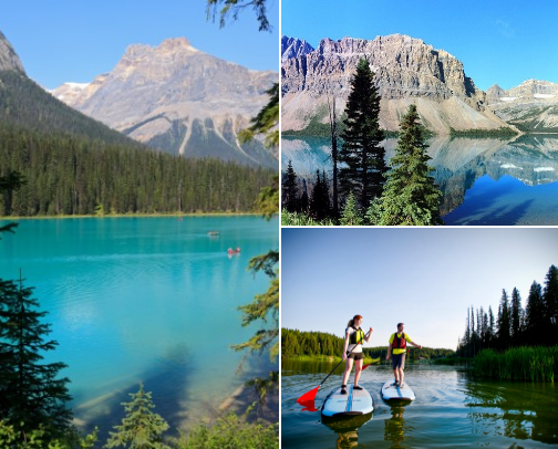 Made in Canada 🇨🇦 Products to try! cover photo collage