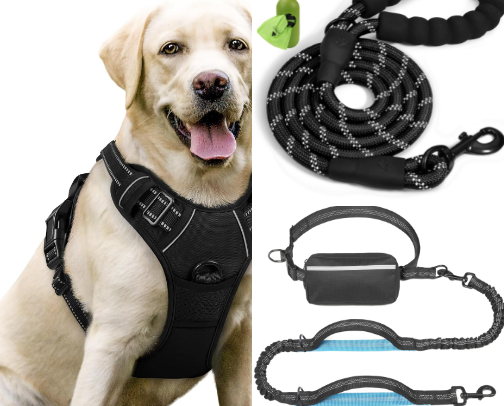 🐕 Dog Walking Essentials: Everything You Need for Safer, More Enjoyable Walks cover photo collage