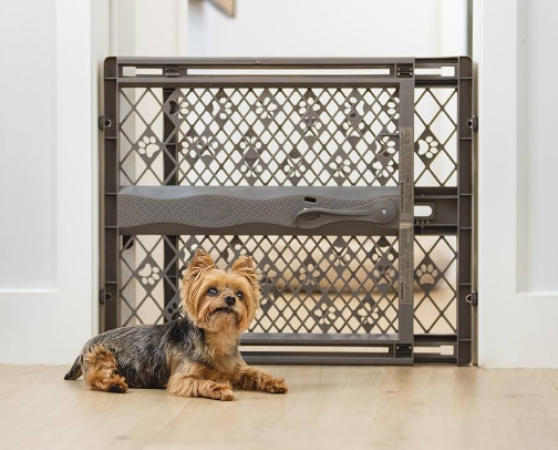 Pet Care | Products | Food cover photo collage