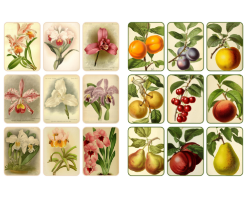 Antique Collage Stickers cover photo collage