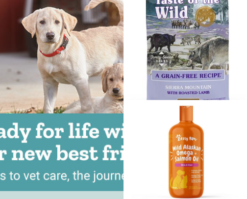 I walked into Tractor Supply and left with a puppy, now what? cover photo collage