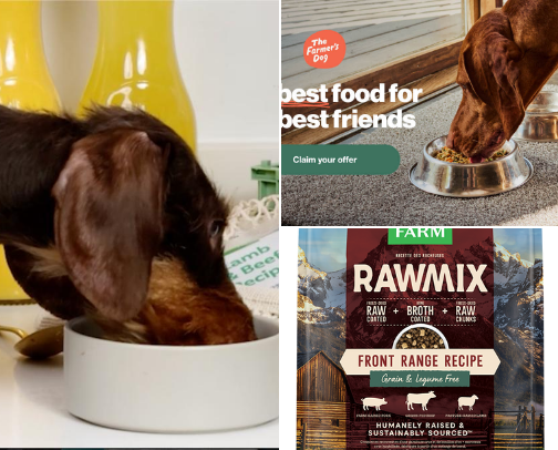 Dog owner’s must haves if you want to spoil your pup cover photo collage