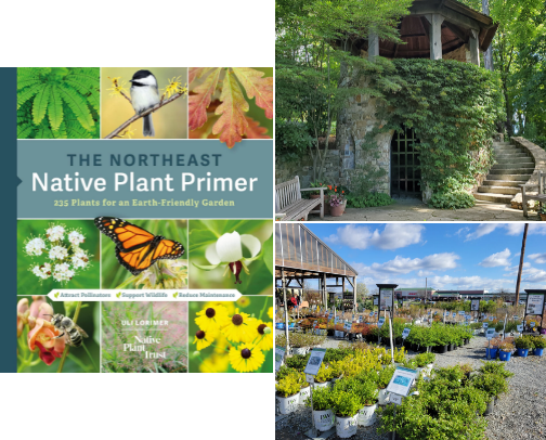 Great ideas for Gardening in York, PA cover photo collage
