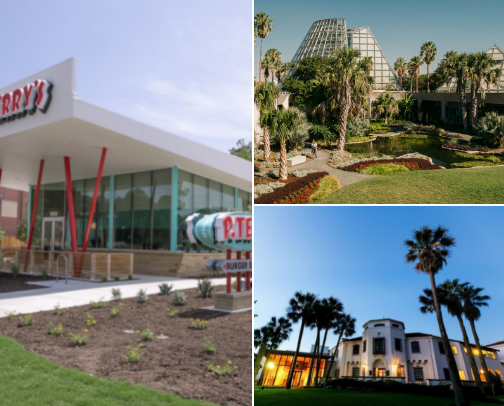 My top San Antonio recs cover photo collage