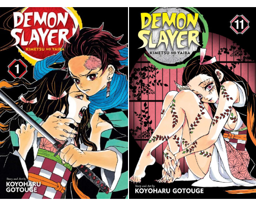 Demon Slayer All Volumes by Koyoharu Gotouge cover photo collage