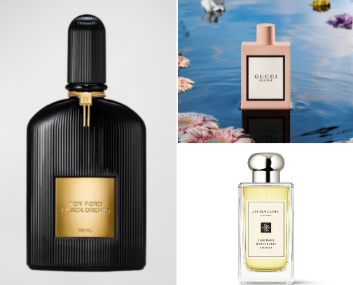 Essence of Elegance cover photo collage