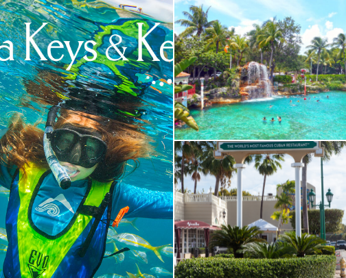 Fun things to do in South Florida cover photo collage