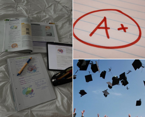 Student Survival Pack 🎒 cover photo collage