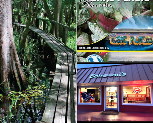 My top recs cover photo collage